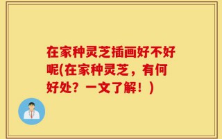 在家种灵芝插画好不好呢(在家种灵芝，有何好处？一文了解！)