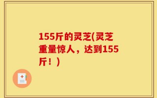 155斤的灵芝(灵芝重量惊人，达到155斤！)