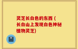 灵芝长白色的东西 (长白山上发现白色神秘植物灵芝)