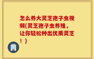 怎么养大灵芝孢子虫视频(灵芝孢子虫养殖，让你轻松种出优质灵芝！)