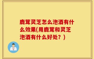 鹿茸灵芝怎么泡酒有什么效果(用鹿茸和灵芝泡酒有什么好处？)