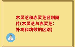 木灵芝和赤灵芝区别图片(木灵芝与赤灵芝：外观和功效的区别)