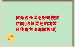 树旁边长灵芝好吗视频讲解(边长灵芝的功效及使用方法详解视频)
