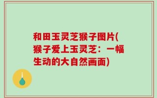 和田玉灵芝猴子图片(猴子爱上玉灵芝：一幅生动的大自然画面)
