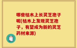 哪些枯木上长灵芝孢子呢(枯木上发现灵芝孢子，有望成为新的灵芝药材来源)