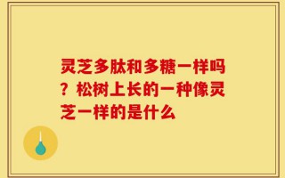 灵芝多肽和多糖一样吗？松树上长的一种像灵芝一样的是什么