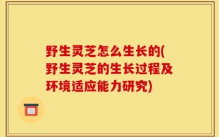 野生灵芝怎么生长的(野生灵芝的生长过程及环境适应能力研究)