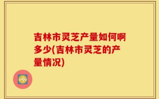 吉林市灵芝产量如何啊多少(吉林市灵芝的产量情况)