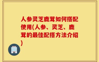 人参灵芝鹿茸如何搭配使用(人参、灵芝、鹿茸的最佳配搭方法介绍)