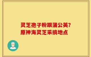 灵芝孢子粉跟蒲公英？原神海灵芝采摘地点