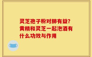 灵芝孢子粉对肺有益？黄精和灵芝一起泡酒有什么功效与作用