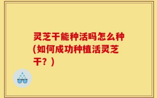 灵芝干能种活吗怎么种(如何成功种植活灵芝干？)