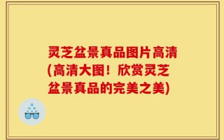 灵芝盆景真品图片高清(高清大图！欣赏灵芝盆景真品的完美之美)