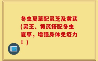 冬虫夏草配灵芝及黄芪(灵芝、黄芪搭配冬虫夏草，增强身体免疫力！)