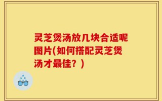 灵芝煲汤放几块合适呢图片(如何搭配灵芝煲汤才最佳？)