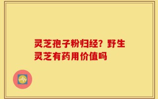 灵芝孢子粉归经？野生灵芝有药用价值吗