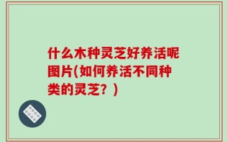 什么木种灵芝好养活呢图片(如何养活不同种类的灵芝？)