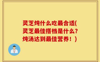灵芝炖什么吃最合适(灵芝最佳搭档是什么？炖汤达到最佳营养！)