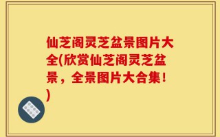 仙芝阁灵芝盆景图片大全(欣赏仙芝阁灵芝盆景，全景图片大合集！)