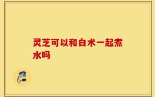 灵芝可以和白术一起煮水吗