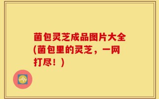 菌包灵芝成品图片大全(菌包里的灵芝，一网打尽！)