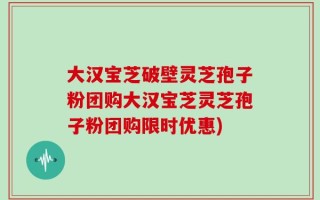 大汉宝芝破壁灵芝孢子粉团购大汉宝芝灵芝孢子粉团购限时优惠)