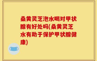 桑黄灵芝泡水喝对甲状腺有好处吗(桑黄灵芝水有助于保护甲状腺健康)