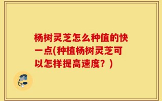 杨树灵芝怎么种值的快一点(种植杨树灵芝可以怎样提高速度？)