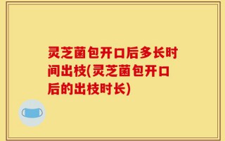 灵芝菌包开口后多长时间出枝(灵芝菌包开口后的出枝时长)