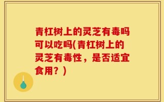青杠树上的灵芝有毒吗可以吃吗(青杠树上的灵芝有毒性，是否适宜食用？)
