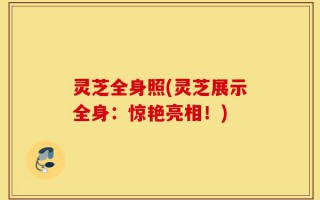 灵芝全身照(灵芝展示全身：惊艳亮相！)