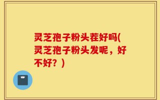 灵芝孢子粉头茬好吗(灵芝孢子粉头发呢，好不好？)