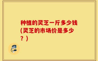 种植的灵芝一斤多少钱(灵芝的市场价是多少？)