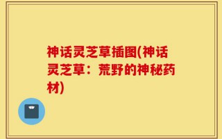 神话灵芝草插图(神话灵芝草：荒野的神秘药材)