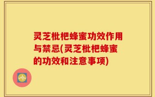 灵芝枇杷蜂蜜功效作用与禁忌(灵芝枇杷蜂蜜的功效和注意事项)