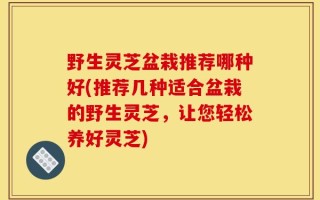野生灵芝盆栽推荐哪种好(推荐几种适合盆栽的野生灵芝，让您轻松养好灵芝)