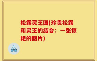 松露灵芝图(珍贵松露和灵芝的结合：一张惊艳的图片)