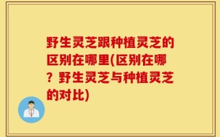 野生灵芝跟种植灵芝的区别在哪里(区别在哪？野生灵芝与种植灵芝的对比)