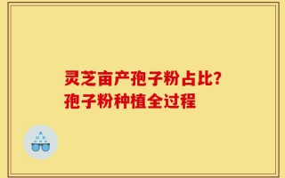 灵芝亩产孢子粉占比？孢子粉种植全过程