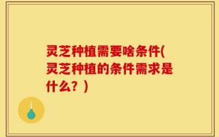 灵芝种植需要啥条件(灵芝种植的条件需求是什么？)