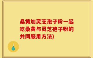 桑黄加灵芝孢子粉一起吃桑黄与灵芝孢子粉的共同服用方法)