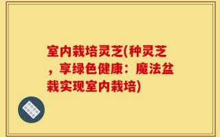 室内栽培灵芝(种灵芝，享绿色健康：魔法盆栽实现室内栽培)