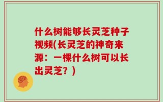 什么树能够长灵芝种子视频(长灵芝的神奇来源：一棵什么树可以长出灵芝？)