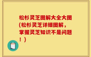 松杉灵芝图解大全大图(松杉灵芝详细图解，掌握灵芝知识不是问题！)