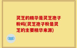 灵芝的精华是灵芝孢子粉吗(灵芝孢子粉是灵芝的主要精华来源)