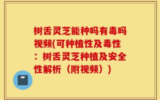 树舌灵芝能种吗有毒吗视频(可种植性及毒性：树舌灵芝种植及安全性解析（附视频）)
