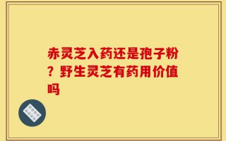赤灵芝入药还是孢子粉？野生灵芝有药用价值吗