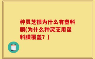 种灵芝根为什么有塑料膜(为什么种灵芝用塑料膜覆盖？)