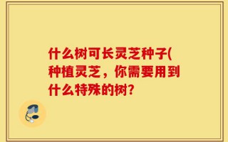 什么树可长灵芝种子(种植灵芝，你需要用到什么特殊的树？
