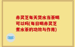 赤灵芝每天煲水当茶喝可以吗(每日喝赤灵芝煮水茶的功效与作用)